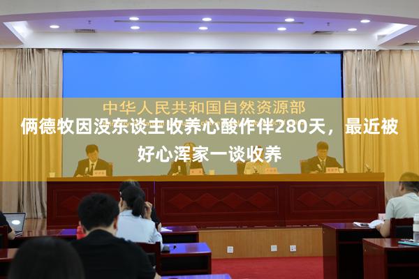 俩德牧因没东谈主收养心酸作伴280天，最近被好心浑家一谈收养