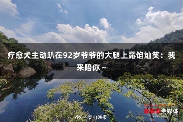 疗愈犬主动趴在92岁爷爷的大腿上露馅灿笑：我来陪你～