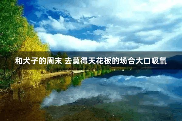 和犬子的周末 去莫得天花板的场合大口吸氧