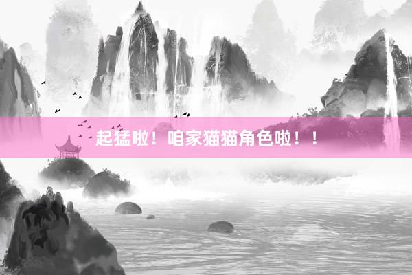 起猛啦！咱家猫猫角色啦！！