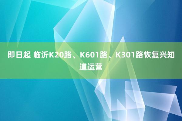 即日起 临沂K20路、K601路、K301路恢复兴知道运营