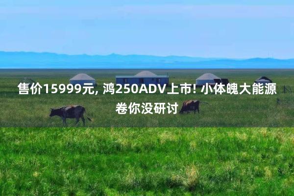 售价15999元, 鸿250ADV上市! 小体魄大能源卷你没研讨