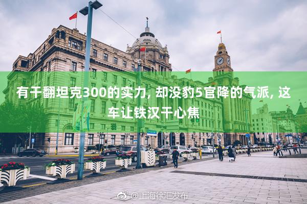 有干翻坦克300的实力, 却没豹5官降的气派, 这车让铁汉干心焦