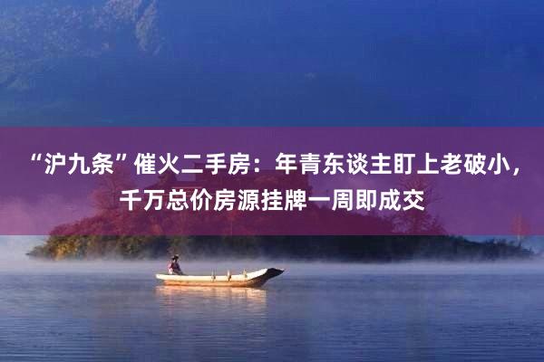 “沪九条”催火二手房：年青东谈主盯上老破小，千万总价房源挂牌一周即成交
