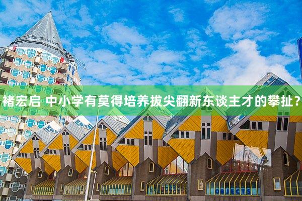 褚宏启 中小学有莫得培养拔尖翻新东谈主才的攀扯？